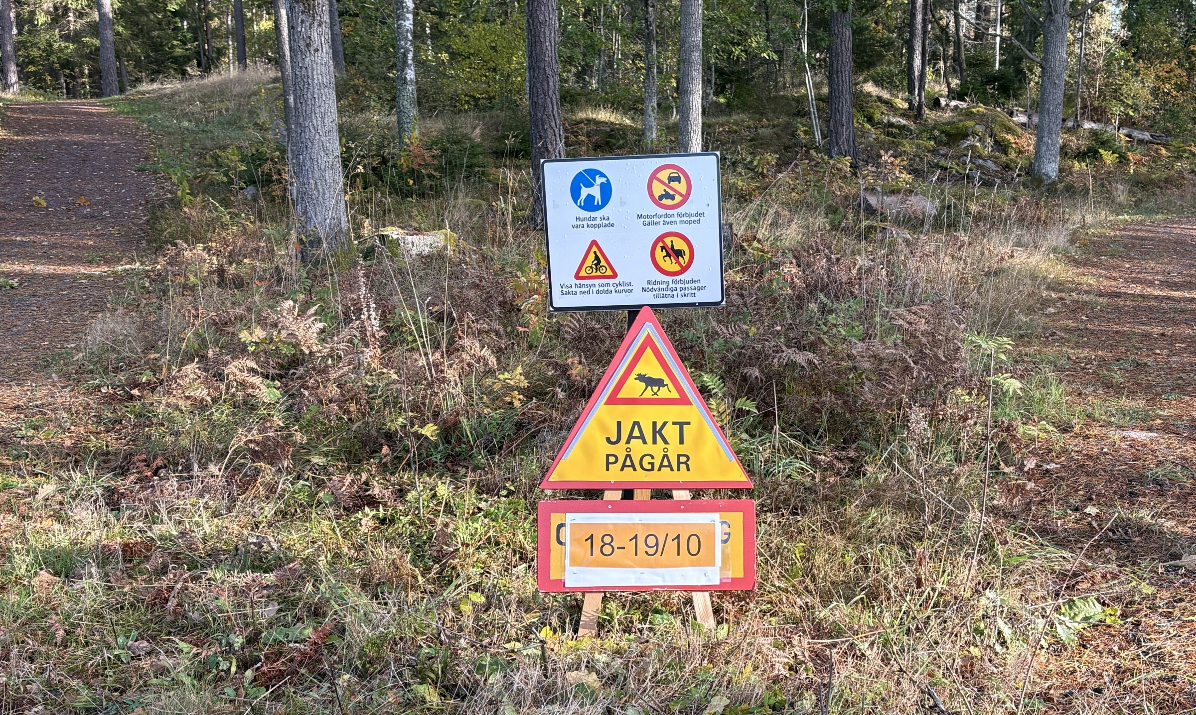 image: Älgjakten startar snart