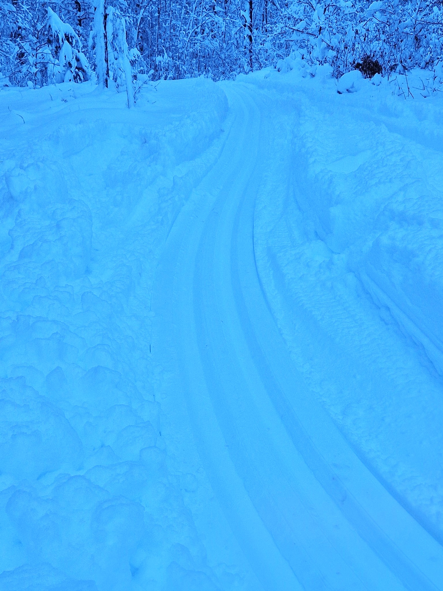 image: Skidspår vid Viljans stuga